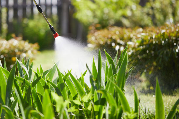 Tamper-Resistant Bait Stations for Rodents in Gatesville