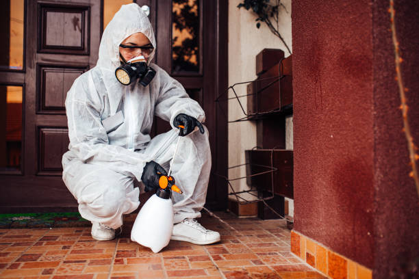 Attic and Crawl Space Rodent Treatment in Gatesville