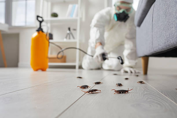 Commercial Rodent Management in Gatesville